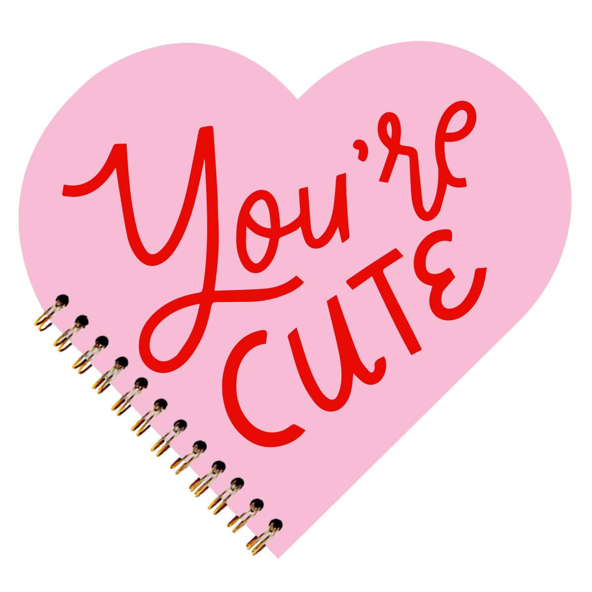 Valentine's Day Gift Valentine's Day Notebook | You're Cute