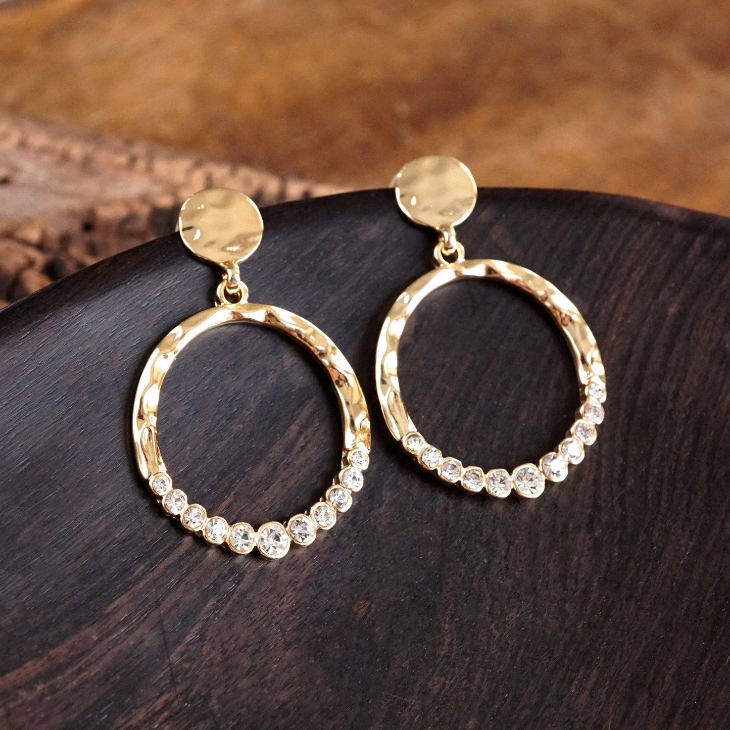 Circle Dangle Earrings with Crystals 0617