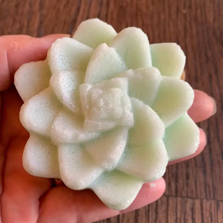 Succulent Sugar Scrub Bar