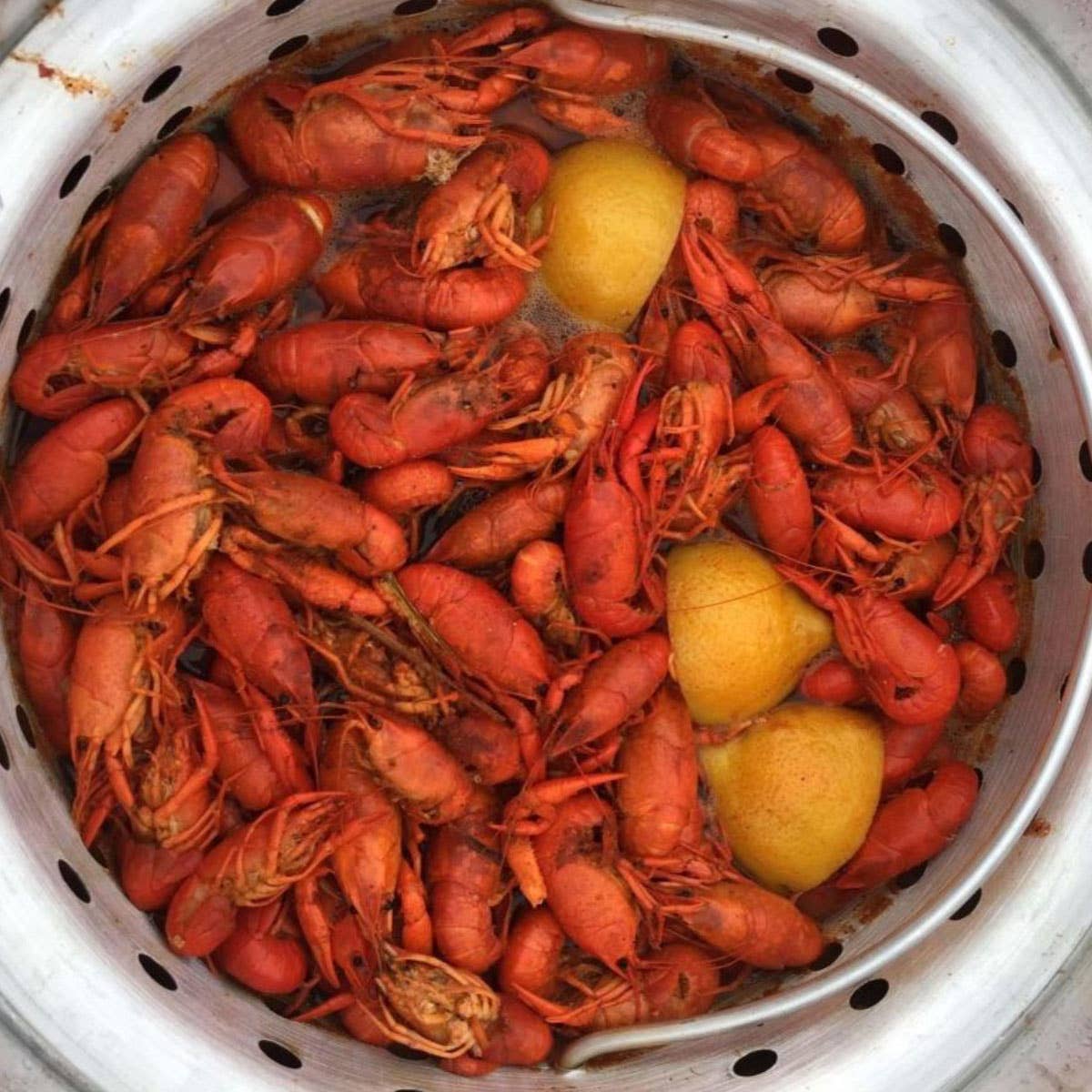 Napalm Crawfish & Seafood Boil™ - Fish, Lobster, Spicy, Hot