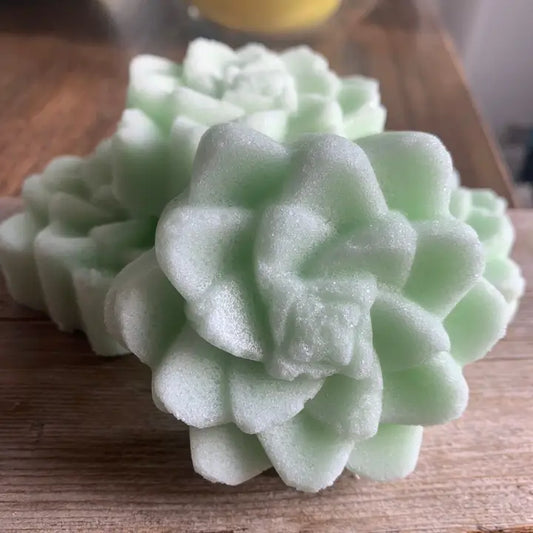 Succulent Sugar Scrub Bar