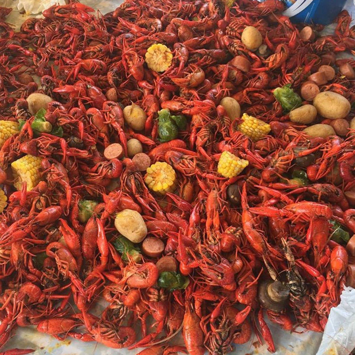 Napalm Crawfish & Seafood Boil™ - Fish, Lobster, Spicy, Hot