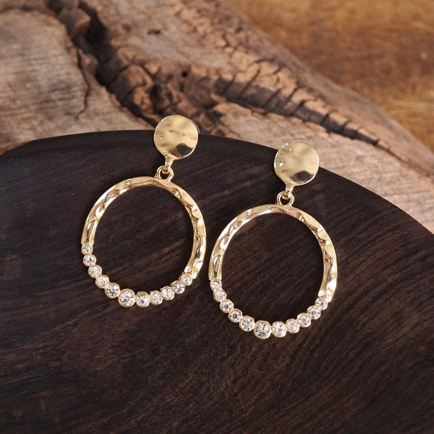 Circle Dangle Earrings with Crystals 0617