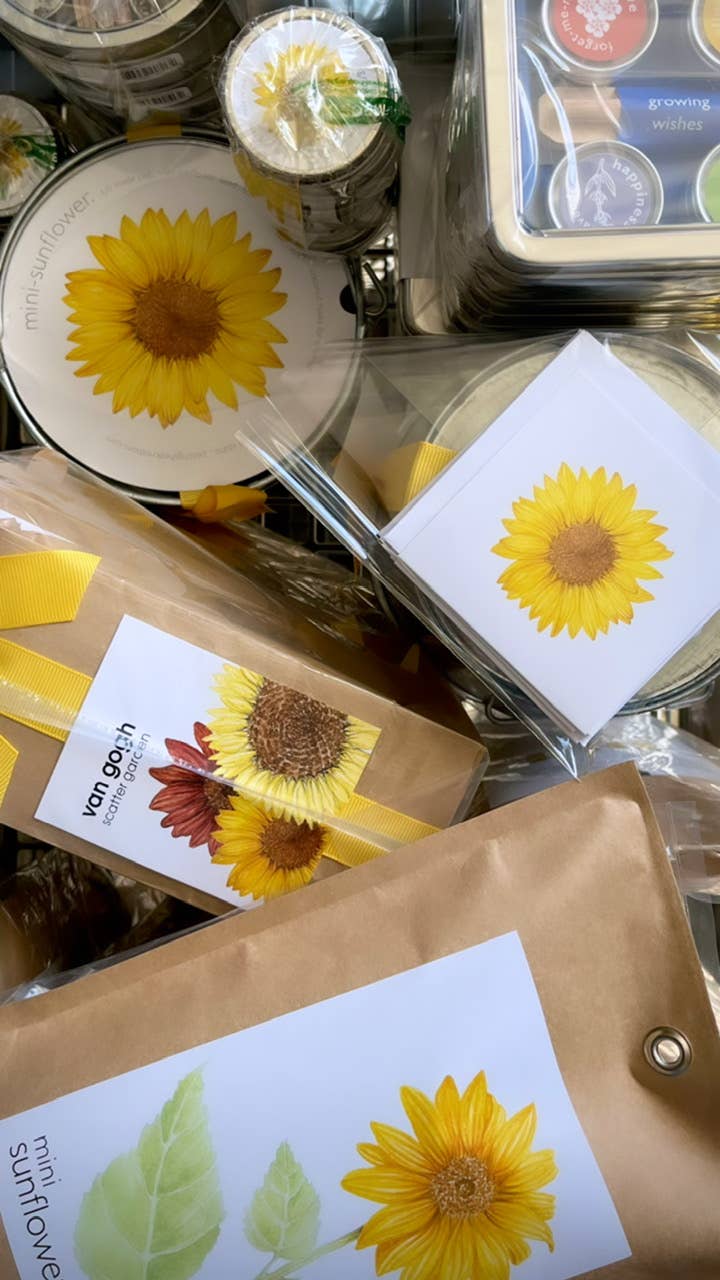 Kids Garden in a Bag | Sunflower | Learning | Best Seller