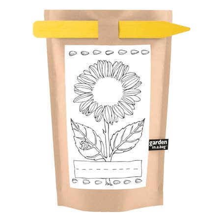 Kids Garden in a Bag | Sunflower | Learning | Best Seller