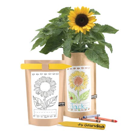 Kids Garden in a Bag | Sunflower | Learning | Best Seller