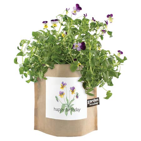 Garden in a Bag | Happy Birthday | Best Seller