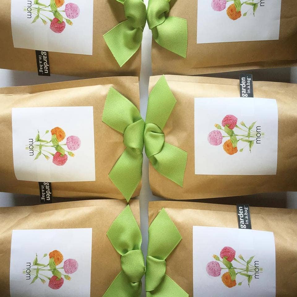 Garden in a Bag | Mom | Mother's Day | Best Seller