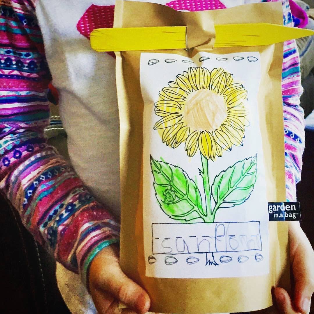 Kids Garden in a Bag | Sunflower | Learning | Best Seller