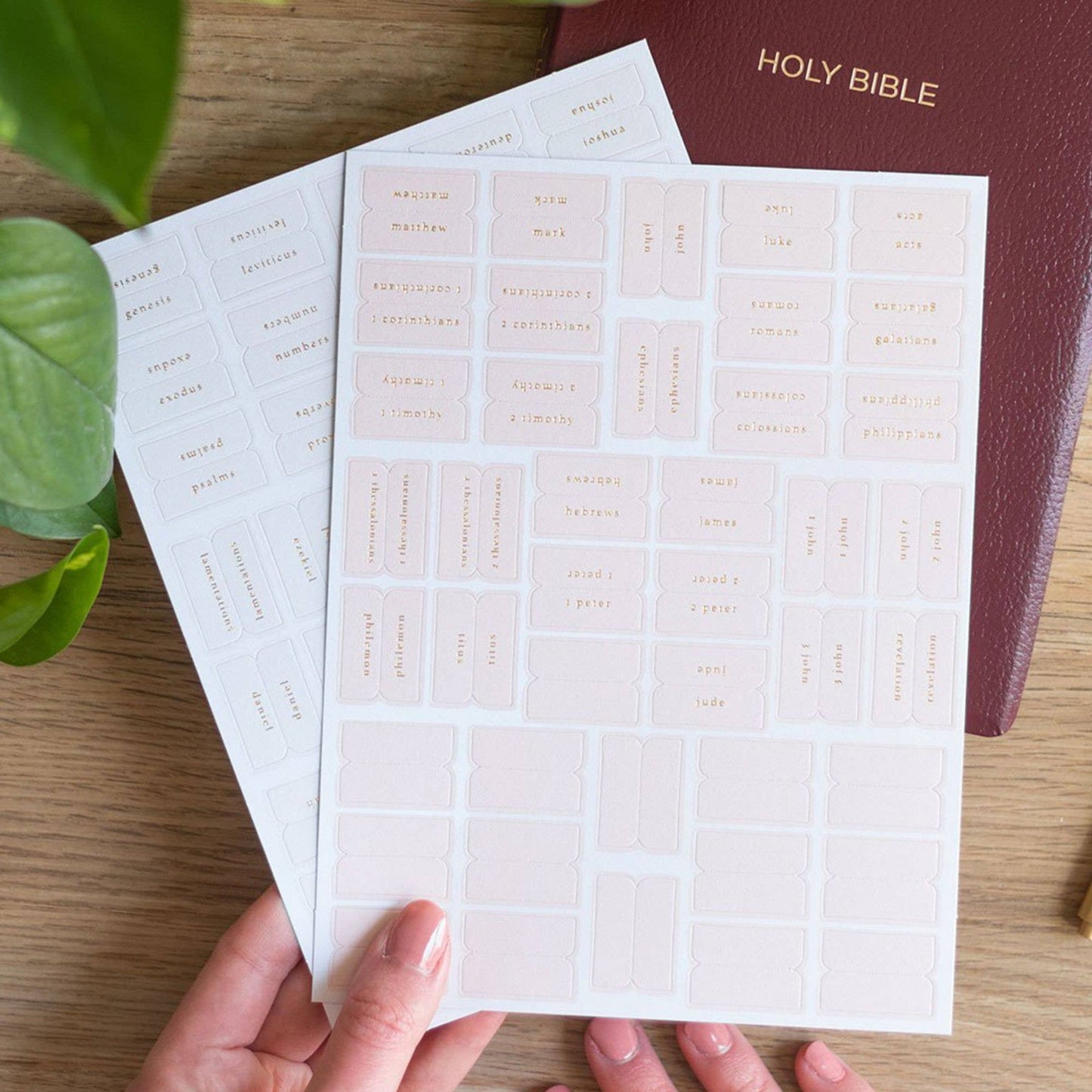 Pink and Cream Bible Tabs