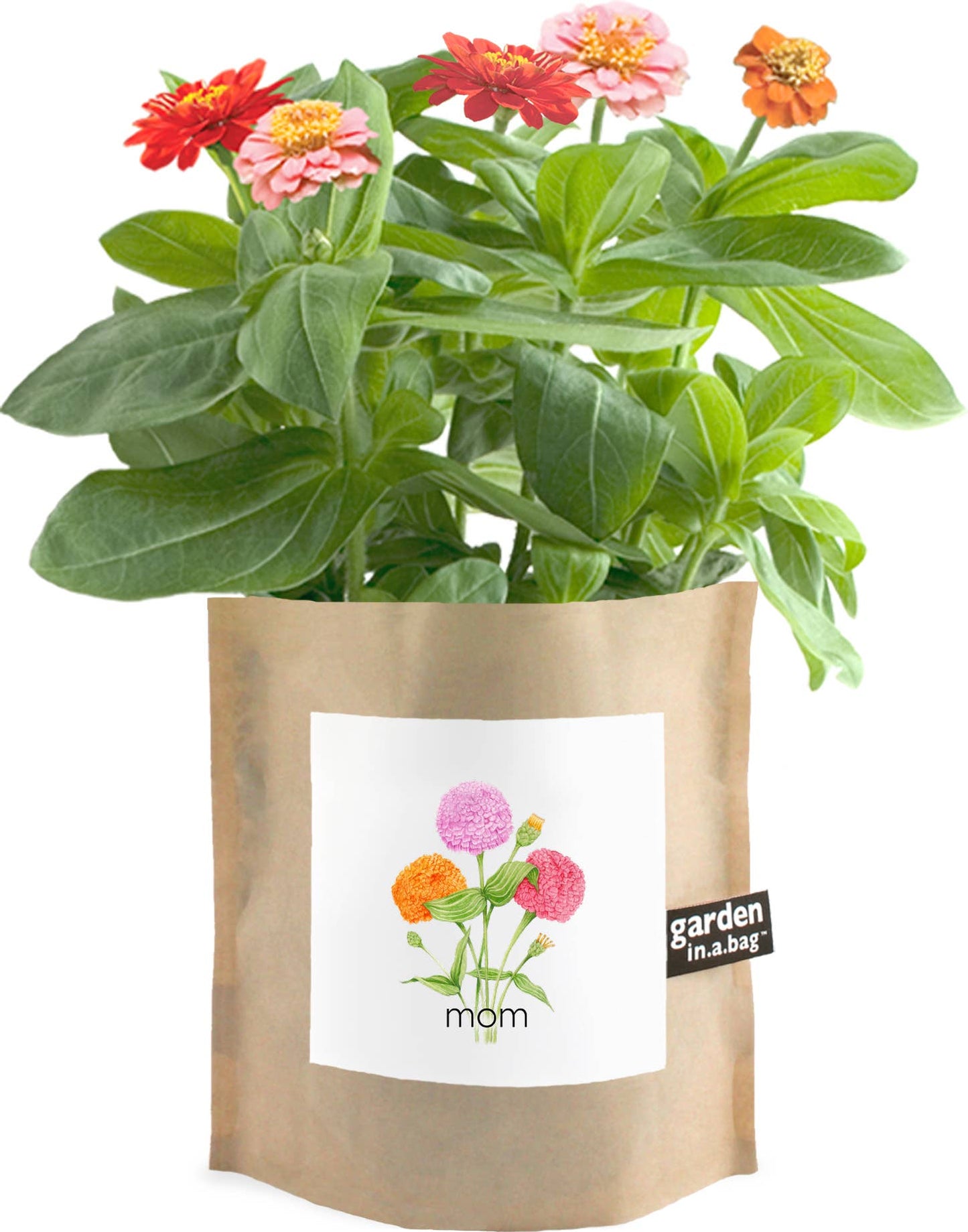 Garden in a Bag | Mom | Mother's Day | Best Seller