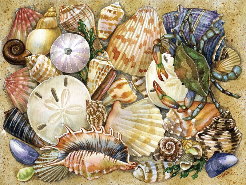 Tidal Treasures Puzzle