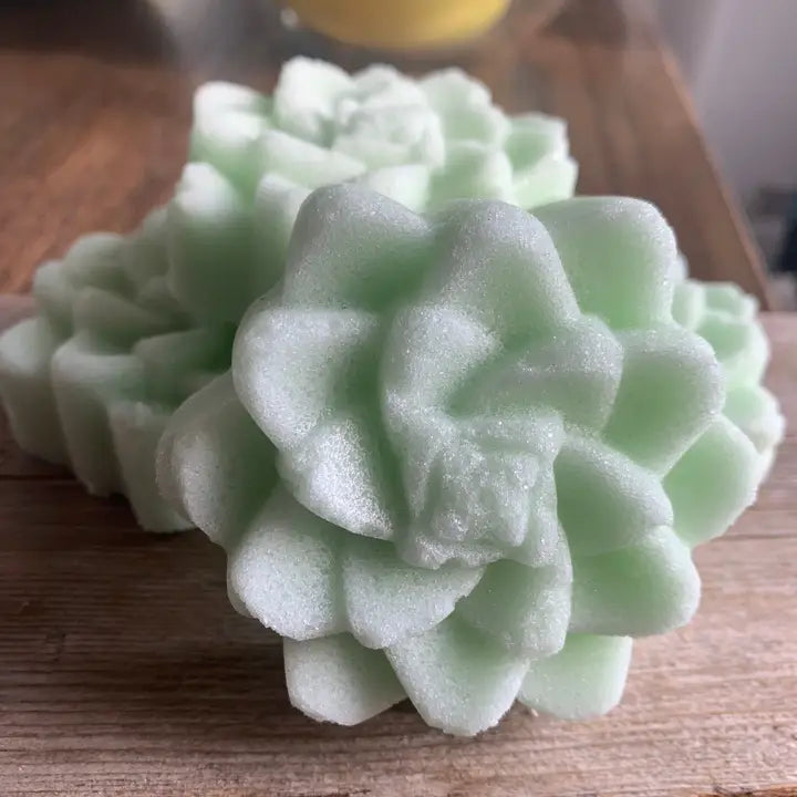 Succulent Sugar Scrub Bar