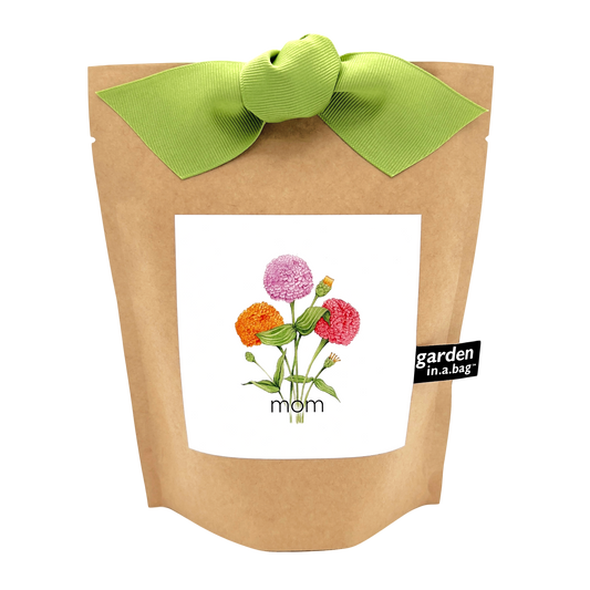 Garden in a Bag | Mom | Mother's Day | Best Seller